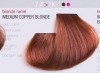 Artego Краска для волос It's Color 150 мл фото 59 — Makeup market