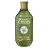 Garnier Botanic Therapy Шампунь для волос Олива 250мл фото 1 — Makeup market