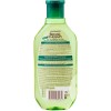 Garnier Botanic Therapy Шампунь для волос Зеленый чай 400мл фото 2 — Makeup market