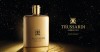 Trussardi AMBER OUD парфюмерная вода 100мл мужская фото 3 — Makeup market