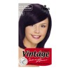 Fiona Vintage Color крем-краска для волос 120 мл фото 8 — Makeup market