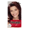 Fiona Vintage Color крем-краска для волос 120 мл фото 10 — Makeup market