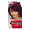 Fiona Vintage Color крем-краска для волос 120 мл фото 12 — Makeup market