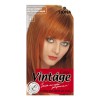Fiona Vintage Color крем-краска для волос 120 мл фото 15 — Makeup market