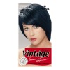 Fiona Vintage Color крем-краска для волос 120 мл фото 16 — Makeup market