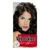Fiona Vintage Color крем-краска для волос 120 мл фото 17 — Makeup market