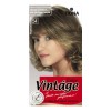 Fiona Vintage Color крем-краска для волос 120 мл фото 19 — Makeup market