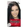 Fiona Vintage Color крем-краска для волос 120 мл фото 20 — Makeup market