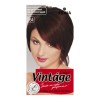 Fiona Vintage Color крем-краска для волос 120 мл фото 23 — Makeup market