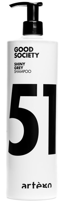 Artego Shine Grey 51 Серебрянный шампунь 1000мл — Makeup market