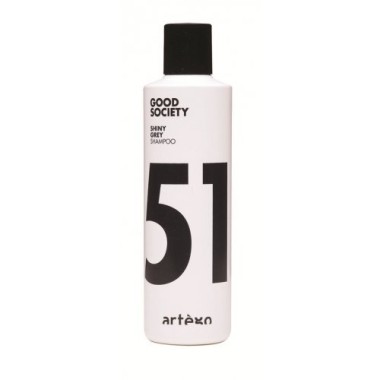 Artego Shine Grey 51 Серебрянный шампунь 250мл — Makeup market
