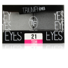 Триумф TF Тени для век двухцветные Triumph Eyes СТЕ-33 фото 2 — Makeup market