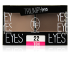 Триумф TF Тени для век двухцветные Triumph Eyes СТЕ-33 фото 3 — Makeup market