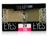 Триумф TF Тени для век двухцветные Triumph Eyes СТЕ-33 фото 5 — Makeup market