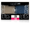 Триумф TF Тени для век двухцветные Triumph Eyes СТЕ-33 фото 9 — Makeup market