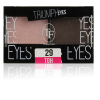 Триумф TF Тени для век двухцветные Triumph Eyes СТЕ-33 фото 10 — Makeup market